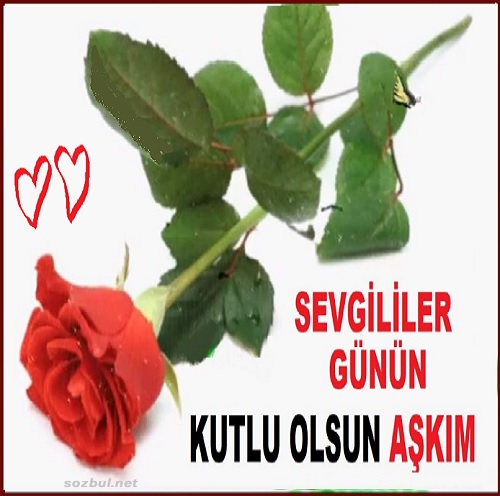 Güllü Kalpli Sevgililer Günü Kutlama