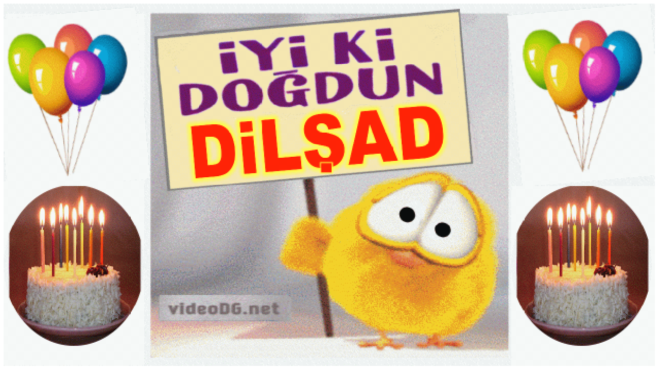 iyi ki doğdun DİLŞAD