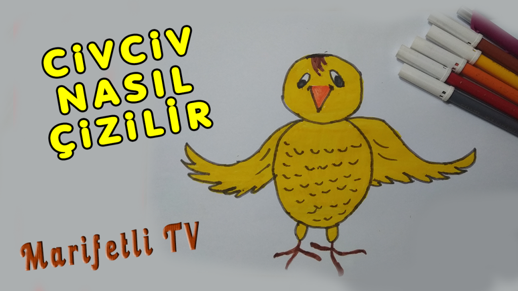 Civciv Nasıl Çizilir