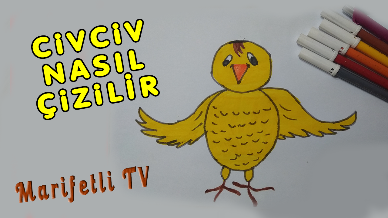 Civciv Nasıl Çizilir