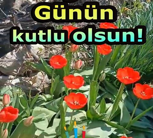 Kırmızı Güller Doğum Günü Kutlaması