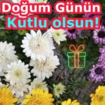 Bahçe Çiçekleri İle Doğum Günü Kutlama