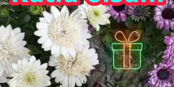 Bahçe Çiçekleri İle Doğum Günü Kutlama