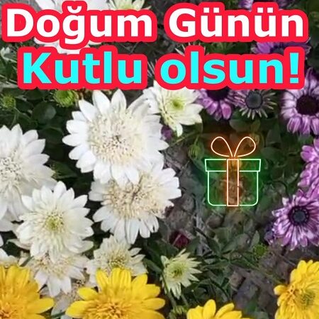 Bahçe Çiçekleri İle Doğum Günü Kutlama