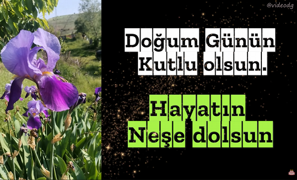 Bugün Senin En Güzel Günün - Doğum Günü Şarkısı