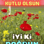 Kırmızı Güllerle Doğum Günü Tebrik