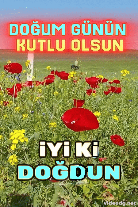Kırmızı Güllerle Doğum Günü Tebrik